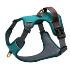 Adventure Harness