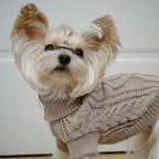 Classic Cable Cuddle Sweater