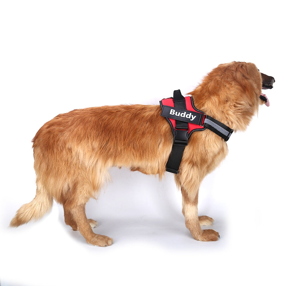 Personalized No Pull Dog Harness