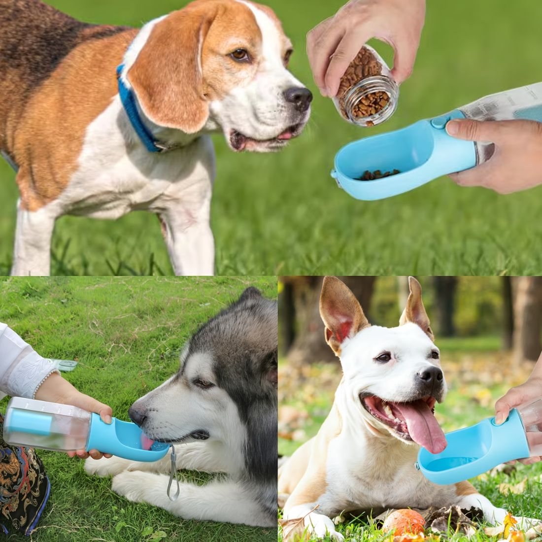 Portable 3-in-1 Dog Water Bottle