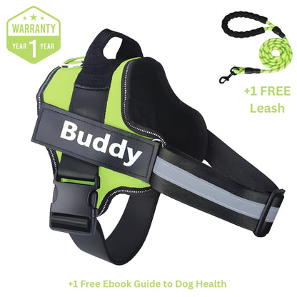Personalized No Pull Dog Harness