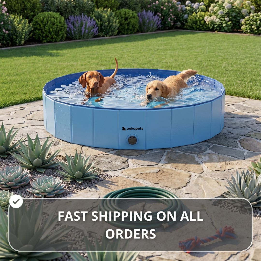 PekoPets™ Foldable Dog Pool