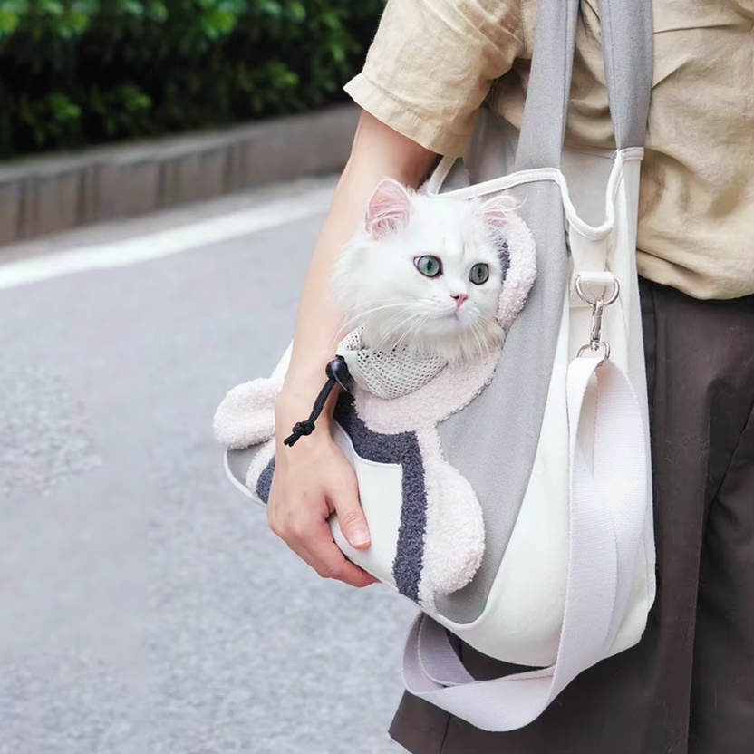 Easy to Carry Pet Carrier