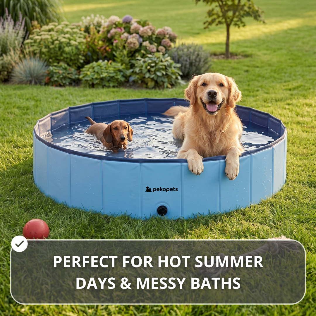 PekoPets™ Foldable Dog Pool