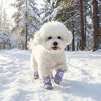 Waterproof Non-Slip Dog Boots