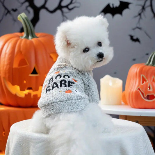 Halloween Dog Sweater (Limited Edition)