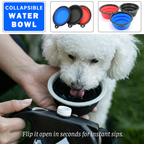 5-in-1 Grab-N-Go Leash