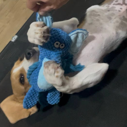ChewAnimal™- Designed for Strong Chewers