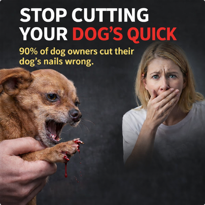 PekoPets™ 2-in-1 LED ProGroom Nail Clipper & Grinder