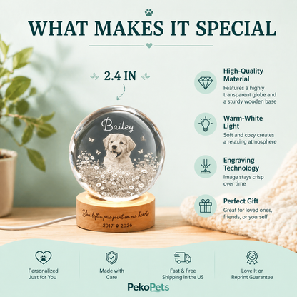 Forever Loved Crystal – Personalized 3D Pet Memorial with LED Base