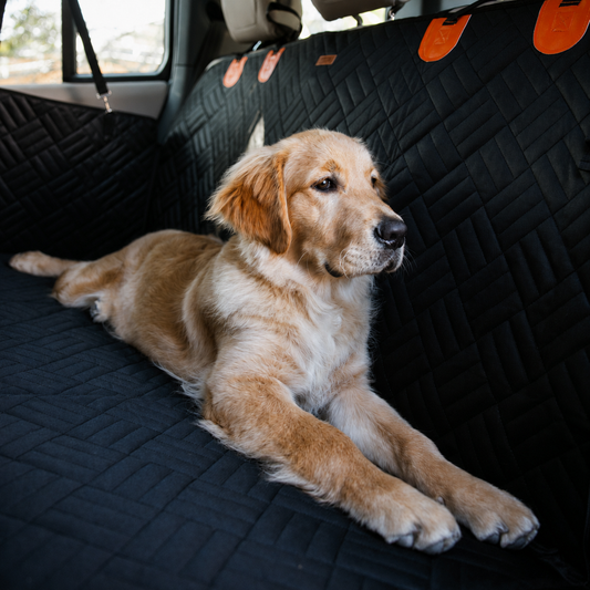PekoPets K9™ Waterproof Hard Bottom Dog Car Hammock with Mesh Window & Free Safety Belt