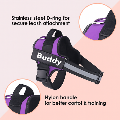 Personalized No Pull Dog Harness