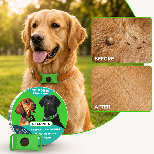 Pekopets PawShield™ — 12-Month Natural Flea & Tick Tags for Dogs