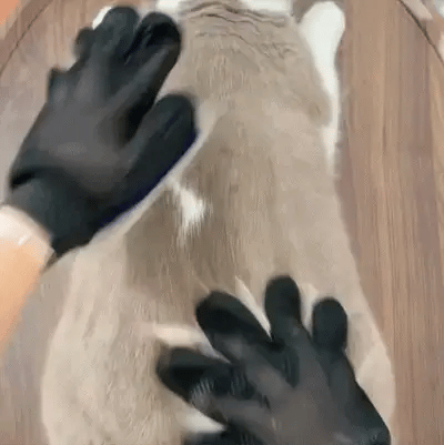 PekoPets™ Pet Grooming Glove (Full Set – Left & Right)