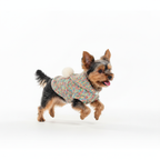 Rainbow Pom Play Hoodie