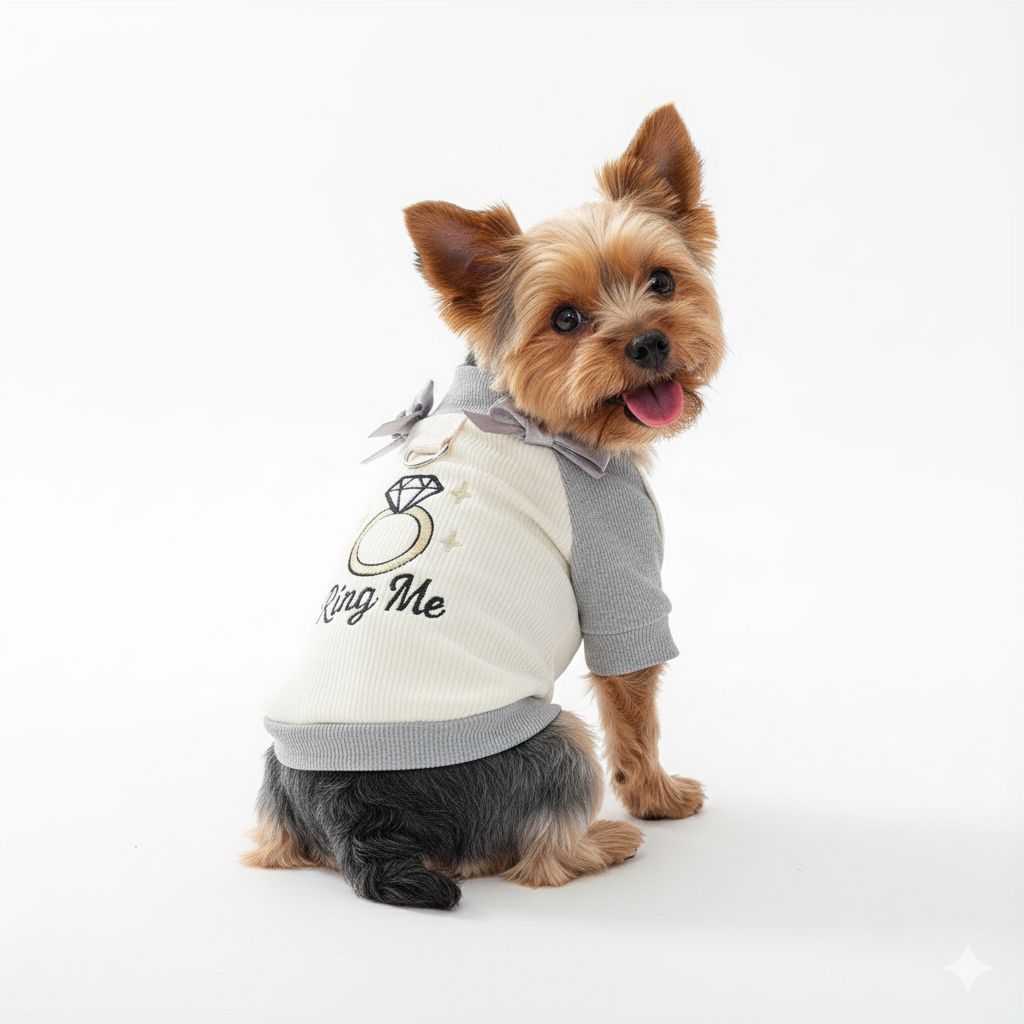 Dog Sweater - Ring Me