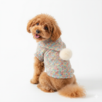 Rainbow Pom Play Hoodie