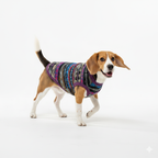 Abstract Aurora Sweater