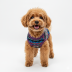 Abstract Aurora Sweater