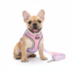 Lumi™ Dog Harness