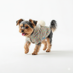 Rainbow Pom Play Hoodie