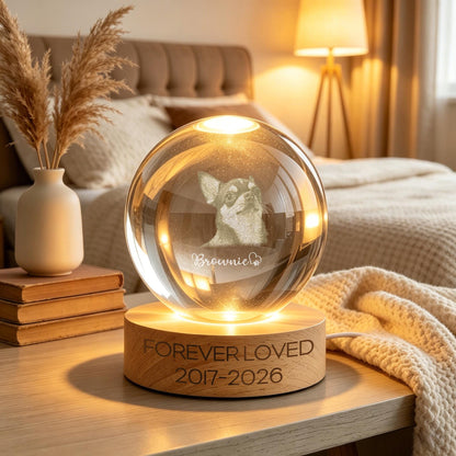 Forever Loved Crystal – Personalized 3D Pet Memorial with LED Base