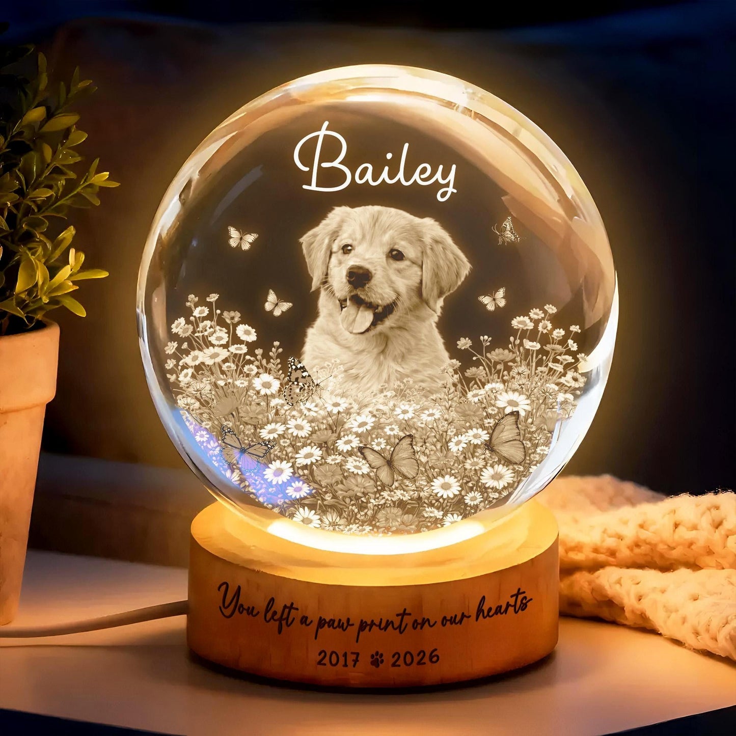 Forever Loved Crystal – Personalized 3D Pet Memorial with LED Base