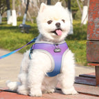 Lumi™ Dog Harness