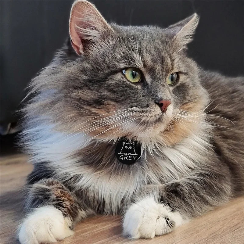 Personalized Pet ID Tag Custom Engraved
