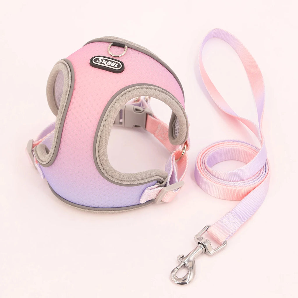 Lumi™ Dog Harness