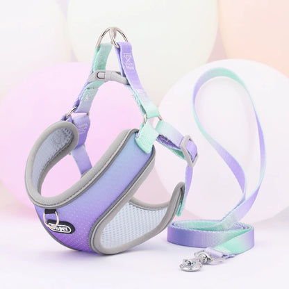Cutest Dog Harness