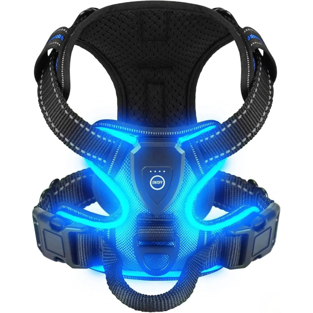 Luminous Joy Harness