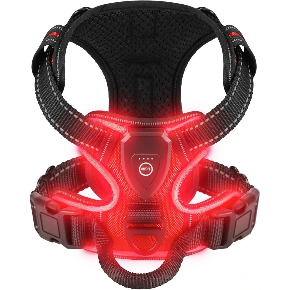 Dog Harness - Luminous Joy