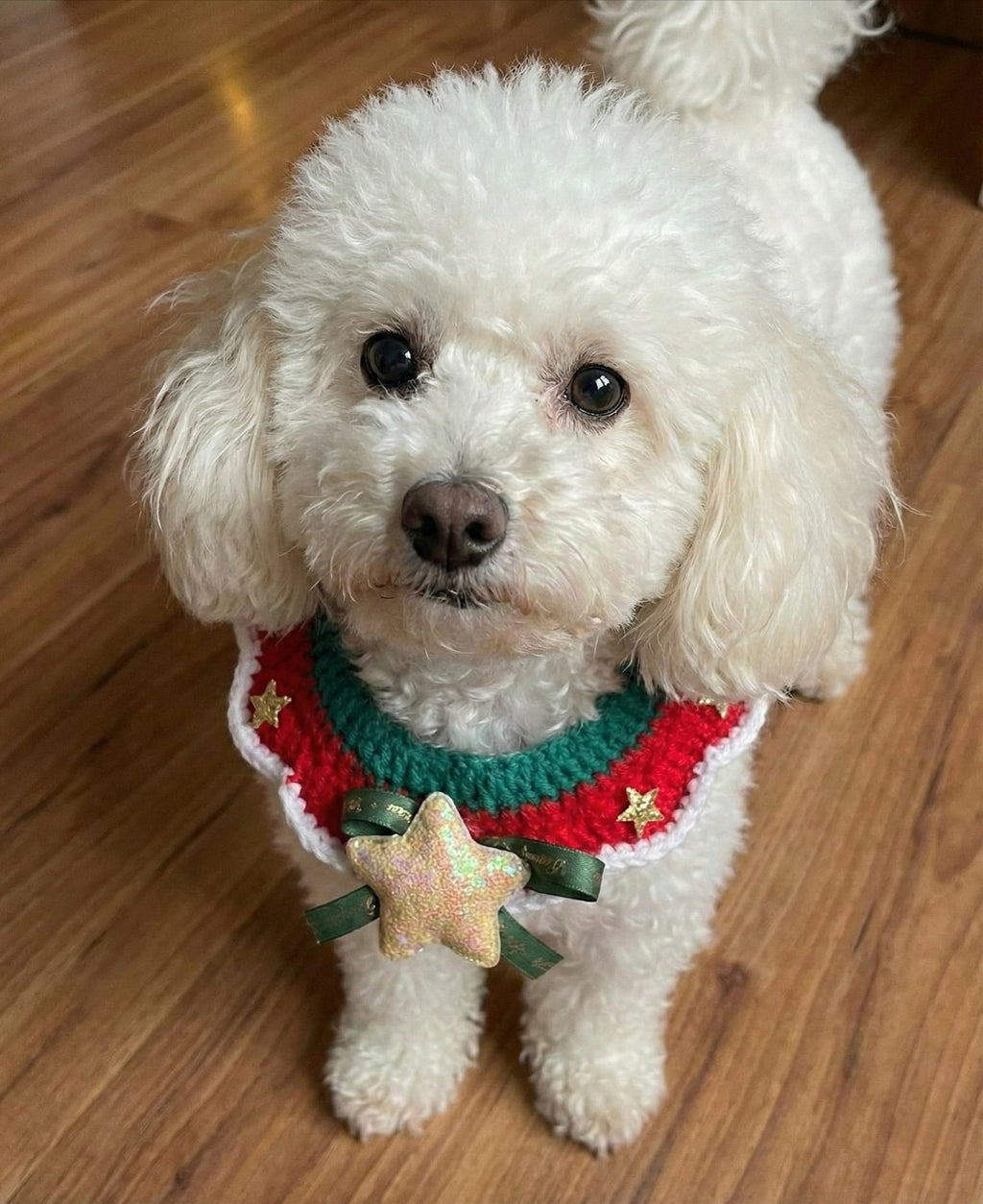 Twinkle Star Christmas Bib
