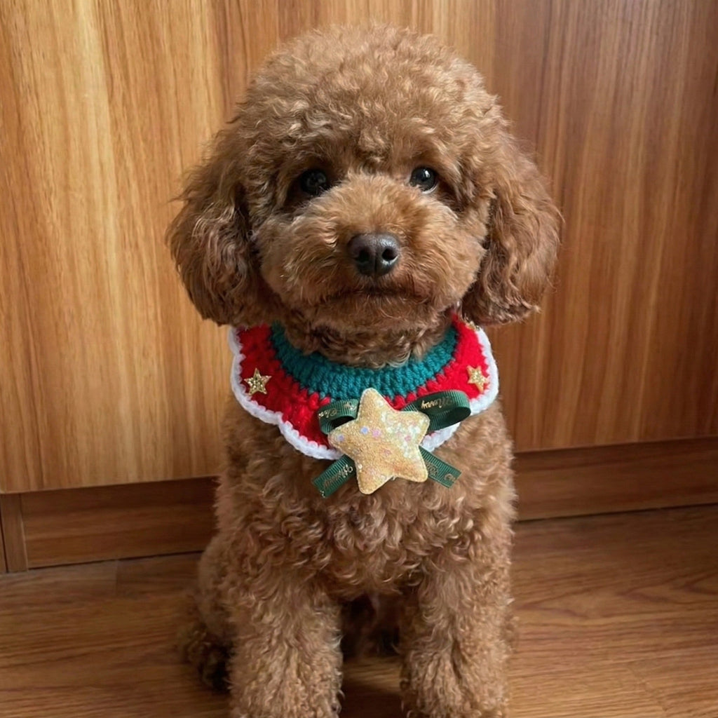 Twinkle Star Christmas Bib