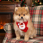 Festive Friends Knit Scarf