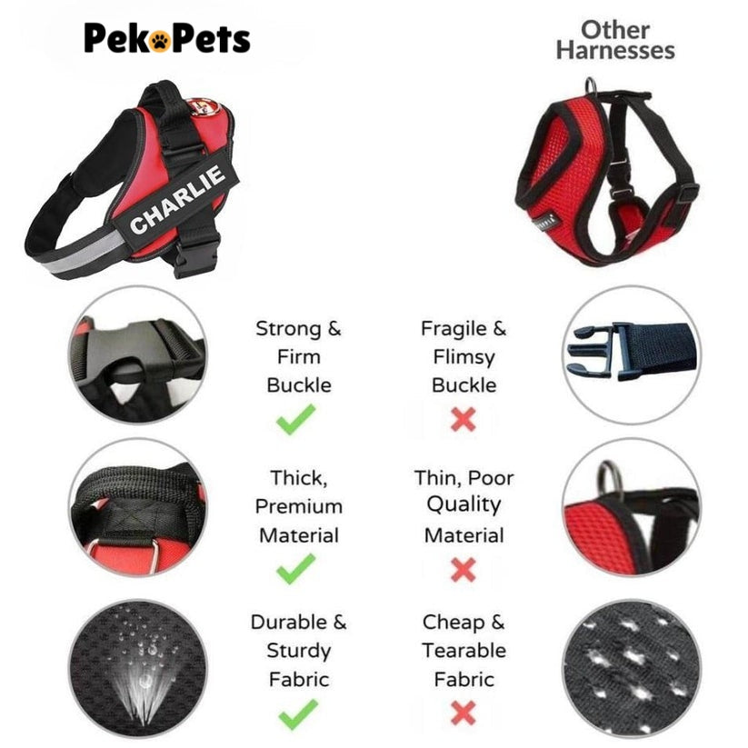 Personalized No Pull Dog Harness