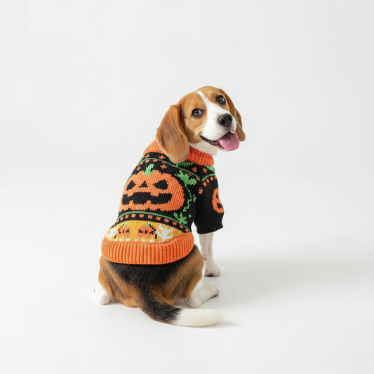 Halloween Dog Sweater (Limited Edition)