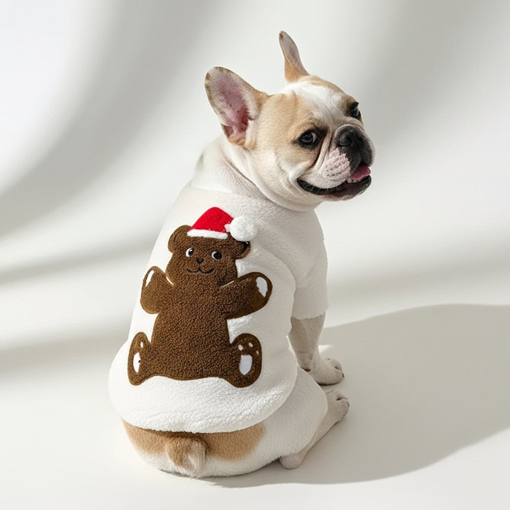Dog Sweater - Cozy Bear Bliss
