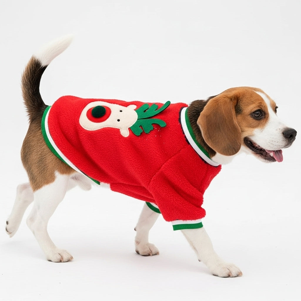 Dog Sweater - Jingle Paws