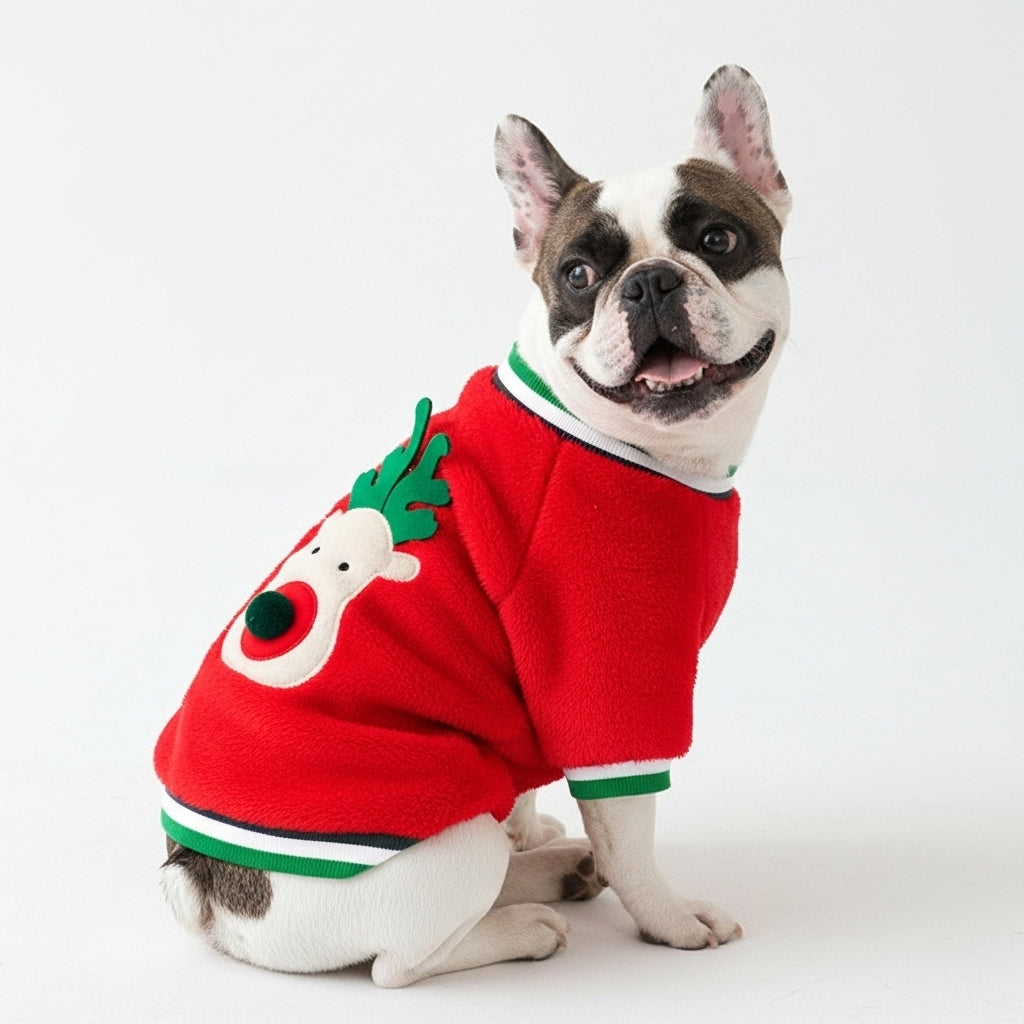 Dog Sweater - Jingle Paws