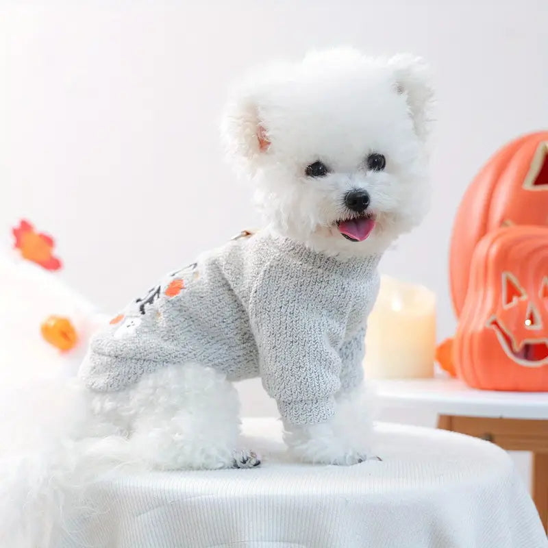 Halloween Dog Sweater - Boo Babe