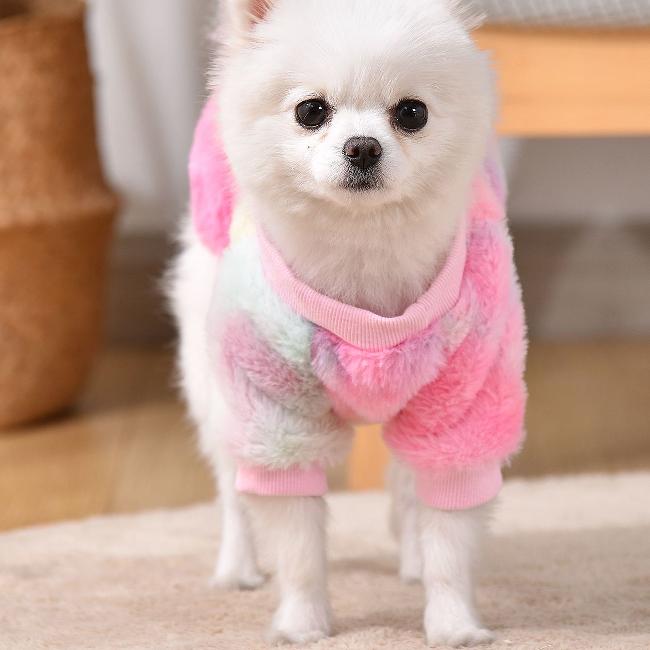 Dog Sweater - Colorful