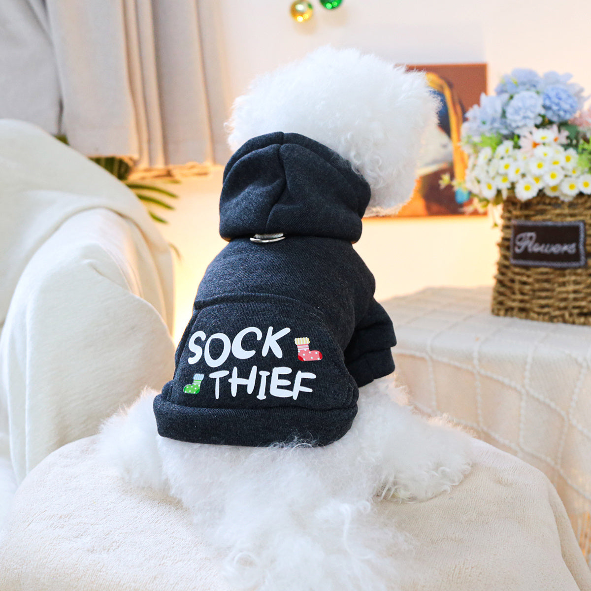 Dog Hoodies - Sock Thief