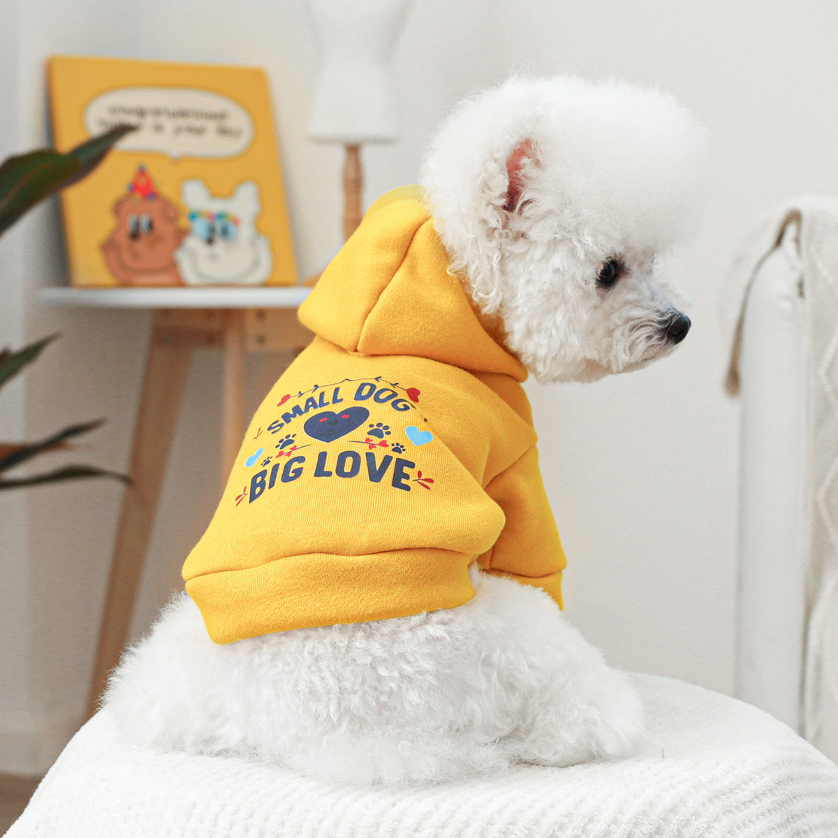 Dog Hoodies - Big Love