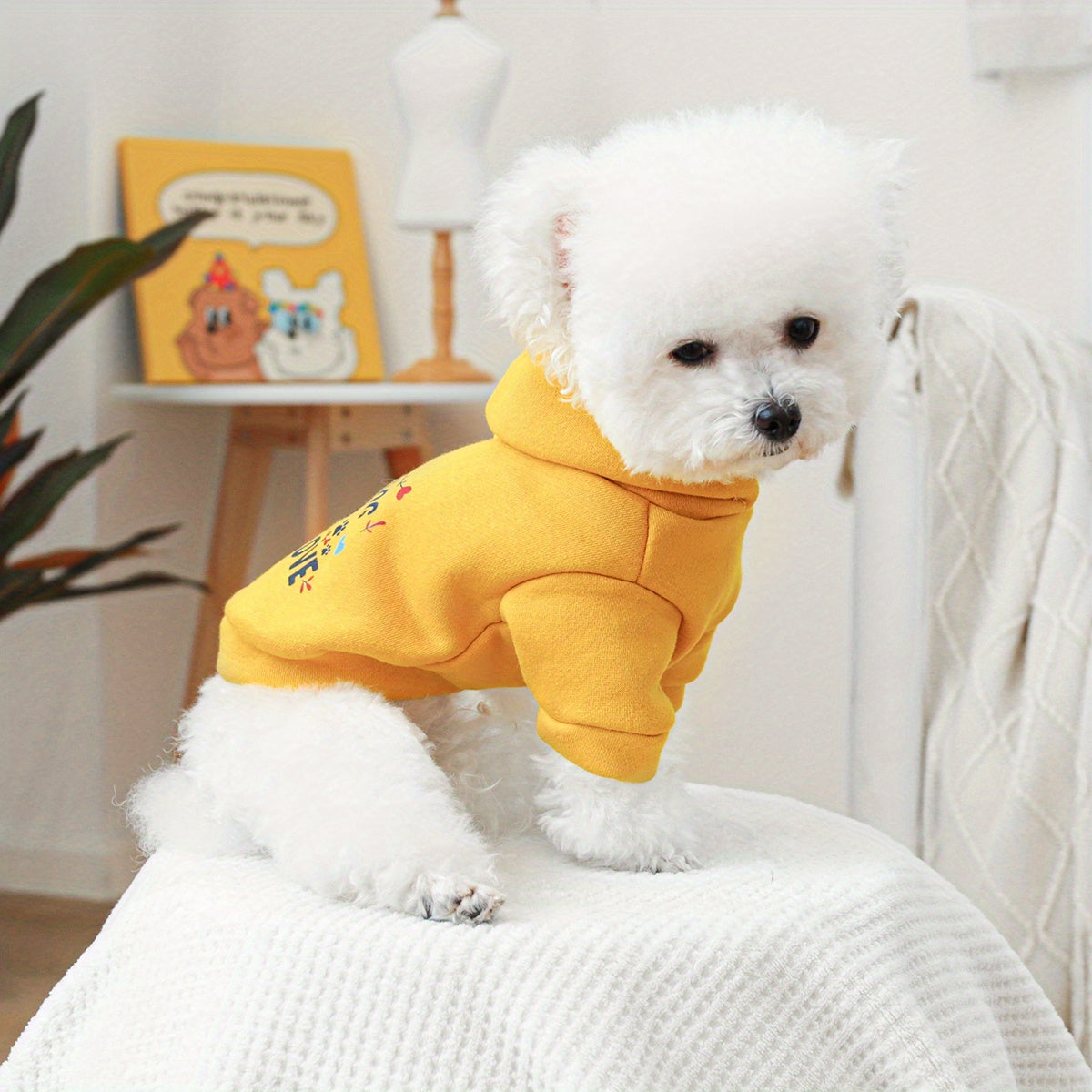 Dog Hoodies - Big Love