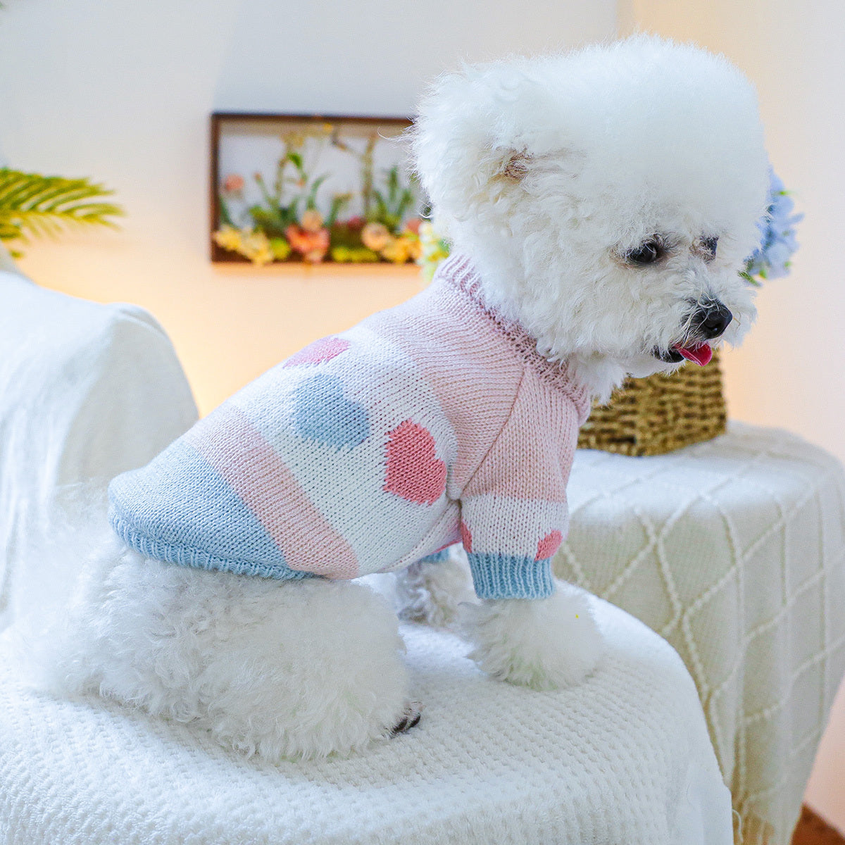 Dog Sweater - Heart
