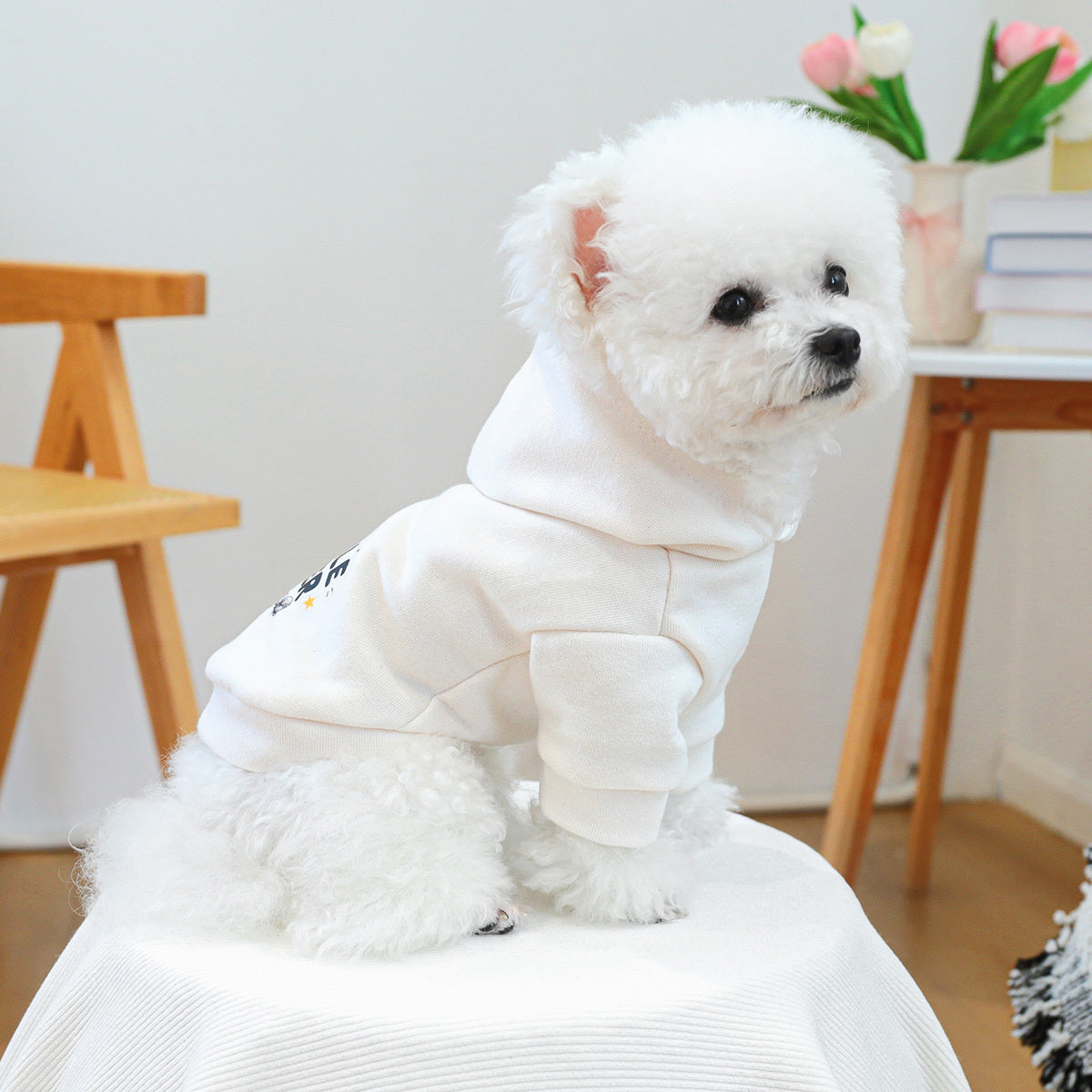 Dog Hoodie - Trouble Maker