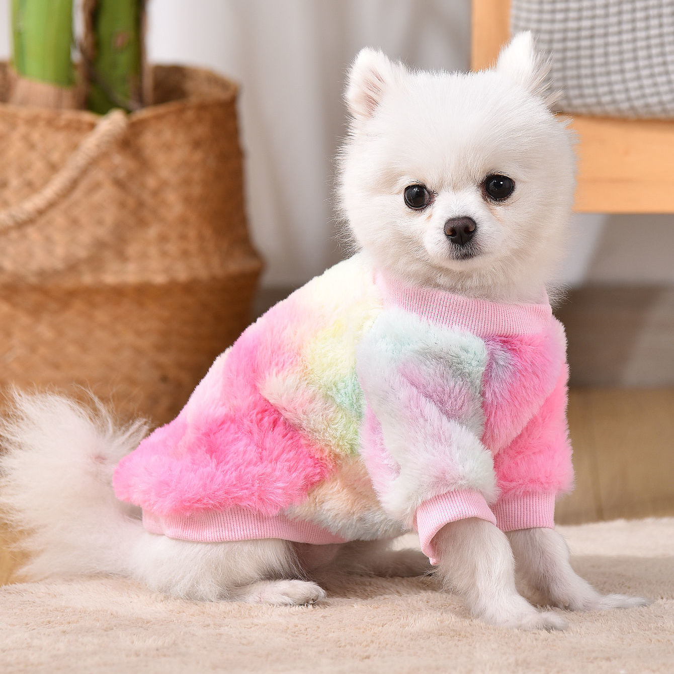 Dog Sweater - Colorful