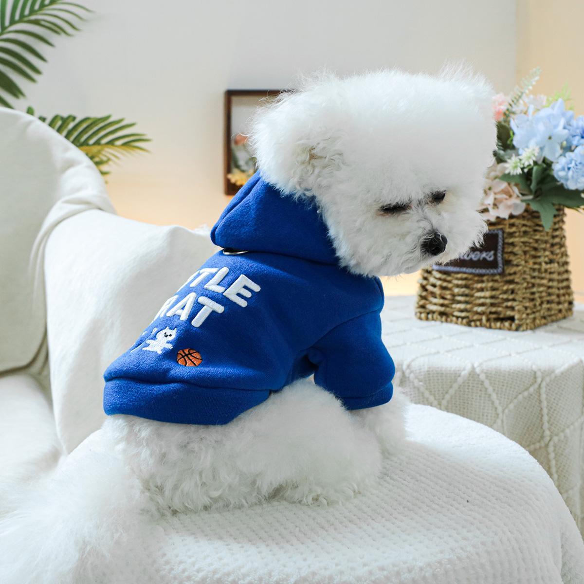 Dog Hoodies - Little Brat